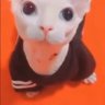 Profilbild von Joseph