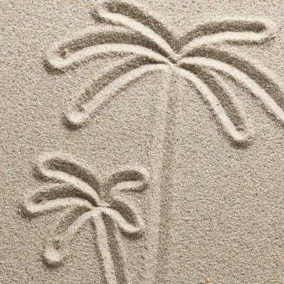 lili_island's profile picture