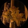 ²³'s profile picture