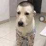 küfrettin profil fotoğrafı