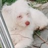 Jorsa ⚖️'s profile picture