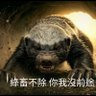平頭哥's profile picture