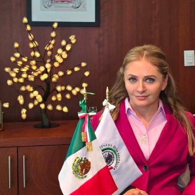 Claudia Anaya 👩🏼🦽's profile picture