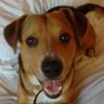 Profilbild von Tommy