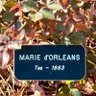 Profilbild von Marie