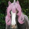 🦄 Spanky 🦄's profile picture