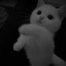 Drew's profile picture