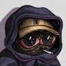 chief 🐻🧙♂️'s profile picture