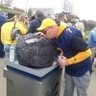 Brumfield's profile picture