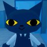 CatstavWX's profile picture