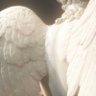 𝒌𝒉 .🪽🦢 profil fotoğrafı