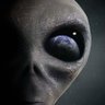 Profilbild von DOOMED WORLD