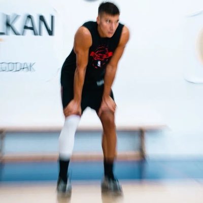 Bogdan Bogdanovic's profile picture