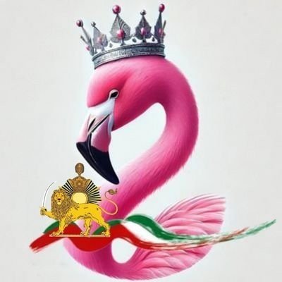 🦩فلامینگو's profile picture