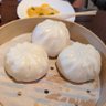 saucy 的头像