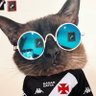 Profilbild von Gatolino ✠