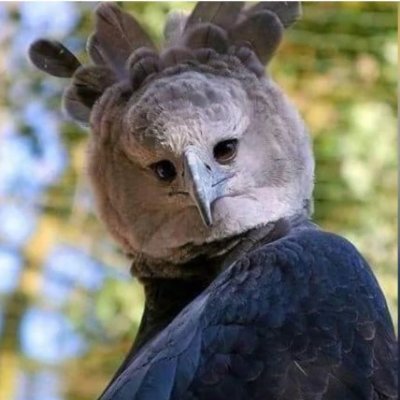 Rofex360's profile picture