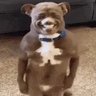 valerie piacere's profile picture