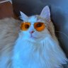 Profilbild von mmk