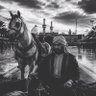 فايز's profile picture