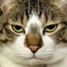 N°675's profile picture