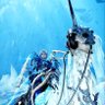 アルフ 重ね着の民 profil fotoğrafı