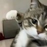 LEE profil fotoğrafı