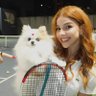 Sara Fragoso's profile picture