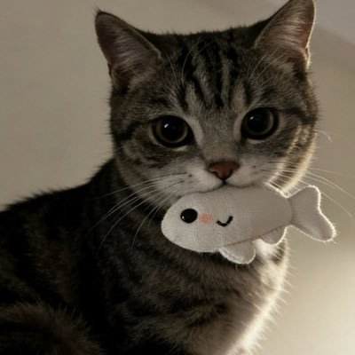 Mrsknowitall's profile picture