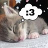 Profilbild von 我貓抓我