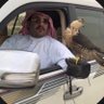 Profilbild von هدار الظفيري