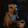Profilbild von daniel