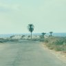 عبدالرحمن عبدالله العتيبي profil fotoğrafı