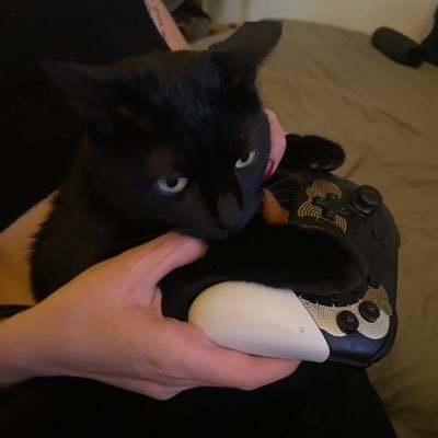 ʏᴍɢᴜʏ's profile picture