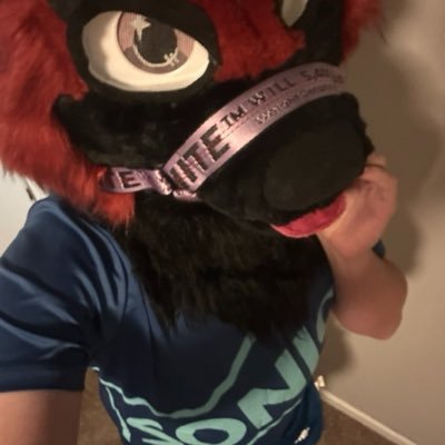Skylight's profile picture