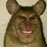 Profilbild von 三重刘德华
