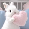 Profilbild von Junny.June ₍ᐢᐢ₎♡
