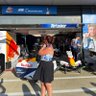 mel 🐝🐦🔥| MONZA 2026's profile picture