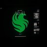 NADEEN💚🦅's profile picture