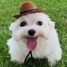 Profilbild von Jacob