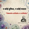 Anmol jayswal 的头像
