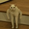 Profilbild von EK