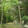 Фото профиля 柏餡ころ