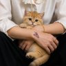TS profil fotoğrafı