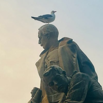 AllevatriceA's profile picture