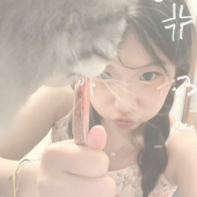 Donna. ꕤ's profile picture