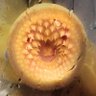 Lathe Man's profile picture