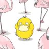 ぽぽい profil fotoğrafı