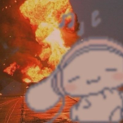 돌이삐's profile picture