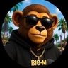 Profilbild von Big-M MemeⓂ️